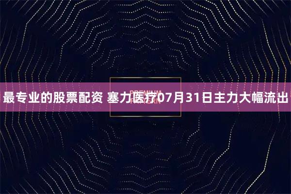 最专业的股票配资 塞力医疗07月31日主力大幅流出